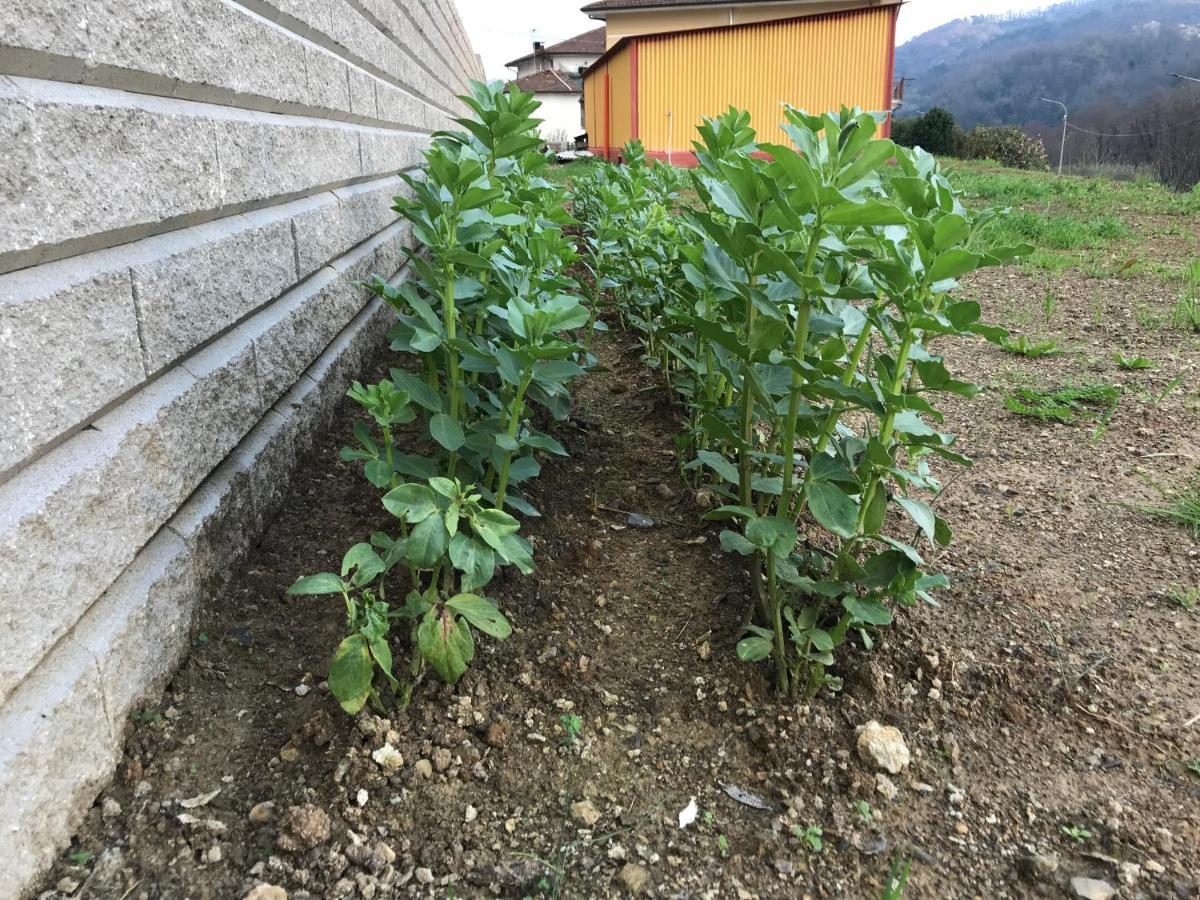 B&B E Locazioni Turistiche Antico Borgo Toscano Montecatini Terme Exterior foto